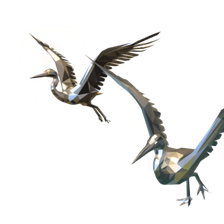 envol-heron