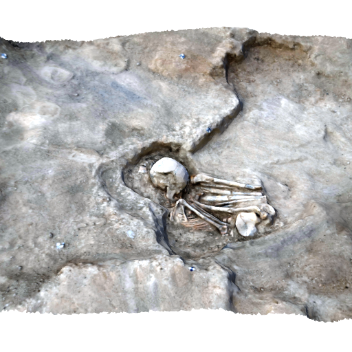 Three-dimensional model of a Neolithic juvenile burial. (Click to view in 3D)