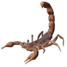 Tina the Scorpion