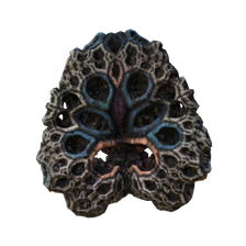 Fractal - Brain Coral