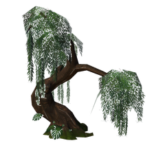 Ivy's tree