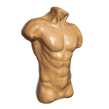 male torso