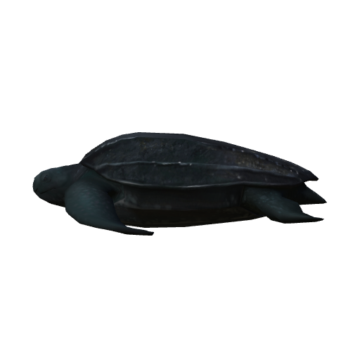 TurtleA