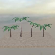 Palmtrees