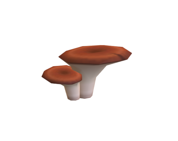 Mushroom_3