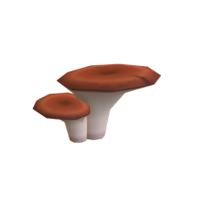 Mushroom_3