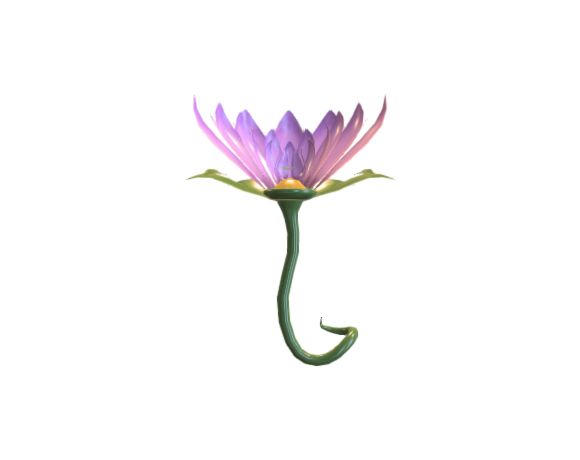 Lotus 