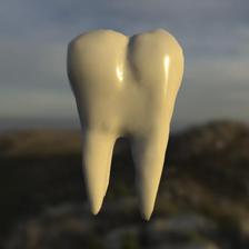 tooth