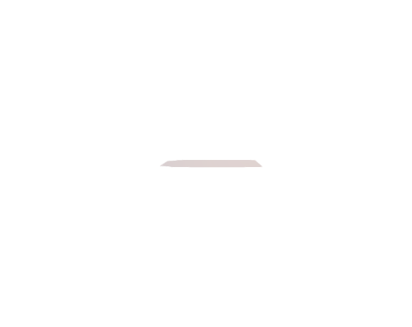 Flexy-Form Insole - Joined Lattice Example