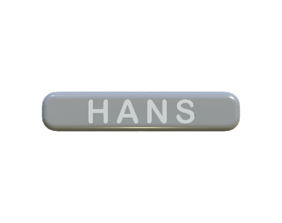 HANS v1