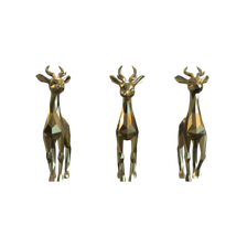 Fawns