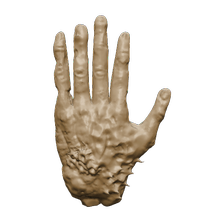 Hand Sculpt