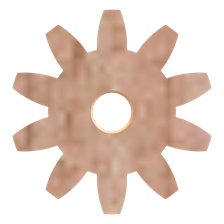FL PT Spur Gear 10