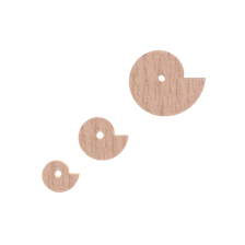 Snail Cams