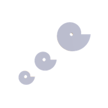 Snail Cams