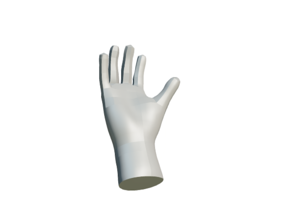 Hand Retopology