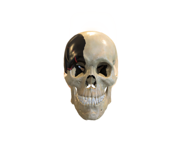 Skull UVs TextureSets