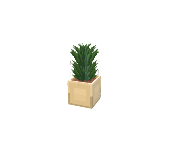 plant