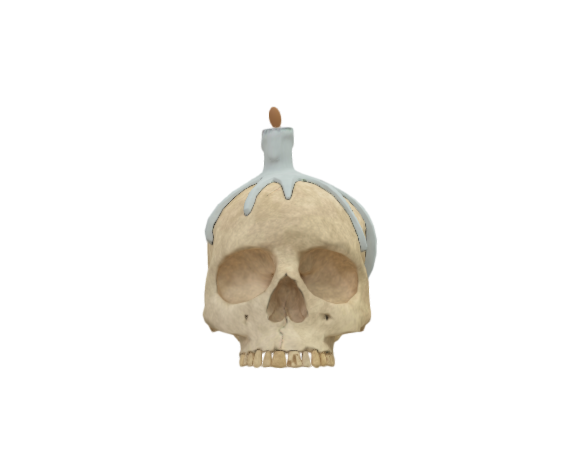 Creedmore Skull