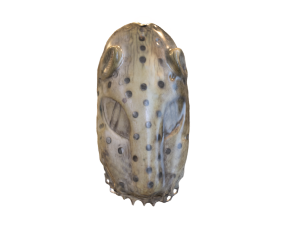 Leopard mask