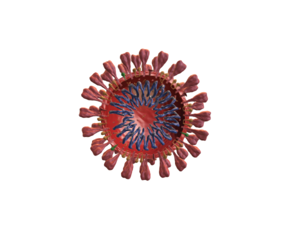 Covid 19 virus - intersection