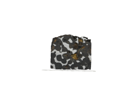 Sericho pallasite meteroite