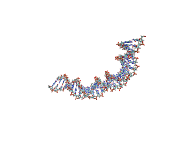 DNA