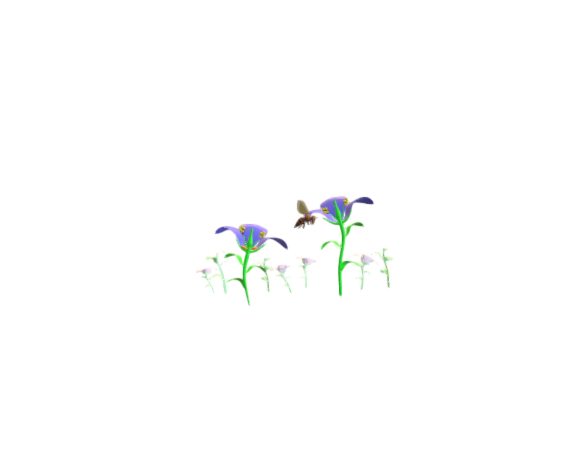 Pollination by bees