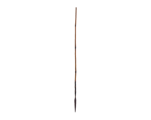 Spear