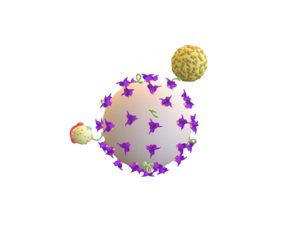 Hepatitis C Virus (two particle model)