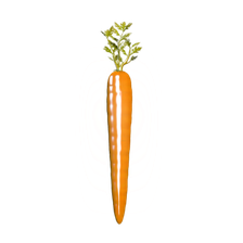 Carrot