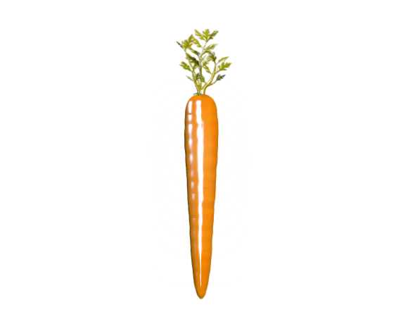 Carrot