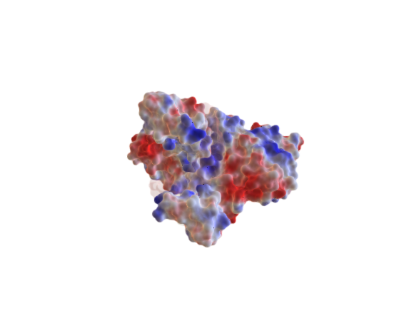 EcoR1 Surface Electrostatic, Tranparent DNA