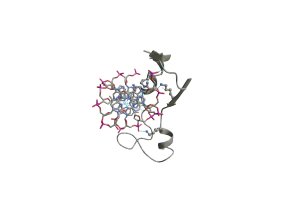 ecor1 catalysis