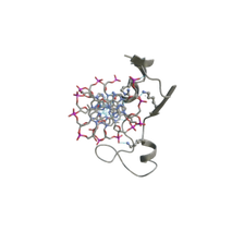 ecor1 catalysis