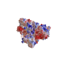 EcoR1 Surface Electrostatic, Tranparent DNA