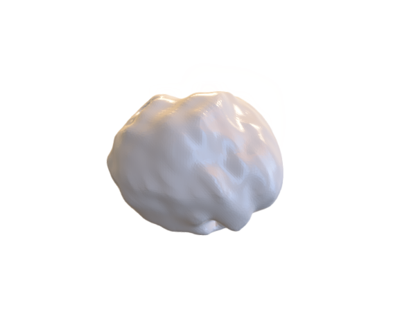 Segmentation Segment 1