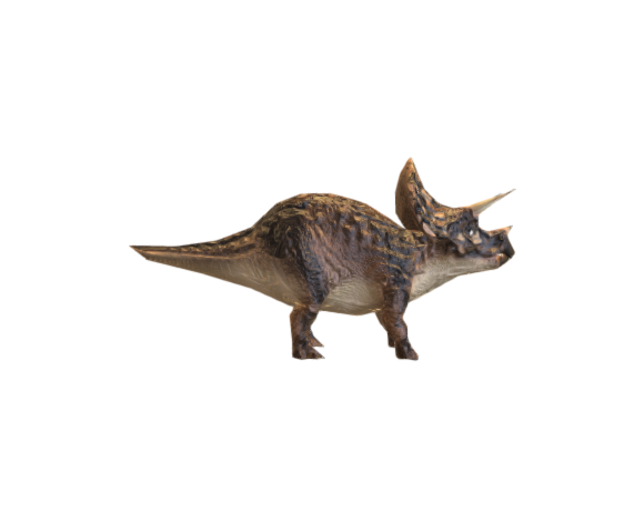 triceratops