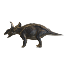 diceratops