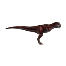 carnotaurus