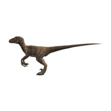 velociraptor