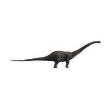 diplodocus