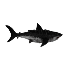 megalodon