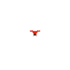 fire bug aircraft