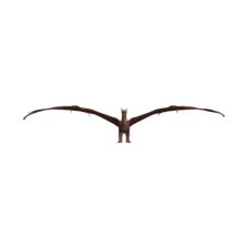 dragon low poly