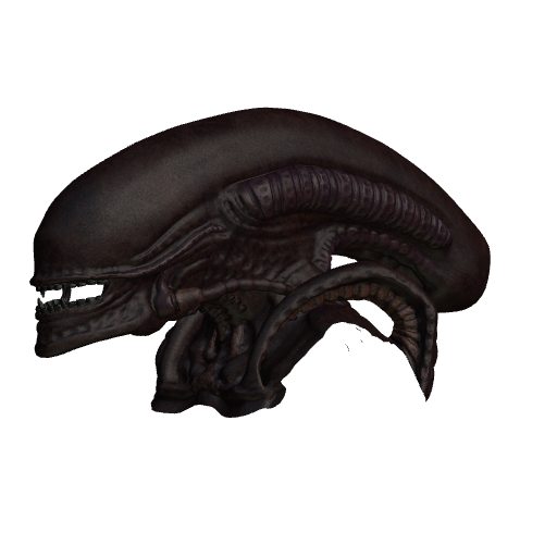 Xenomorph