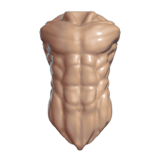 torso