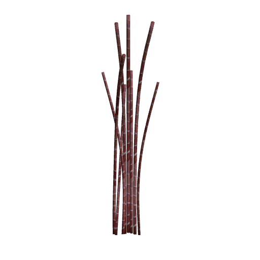 Red Bamboo