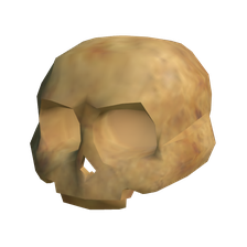 Ancient Skull