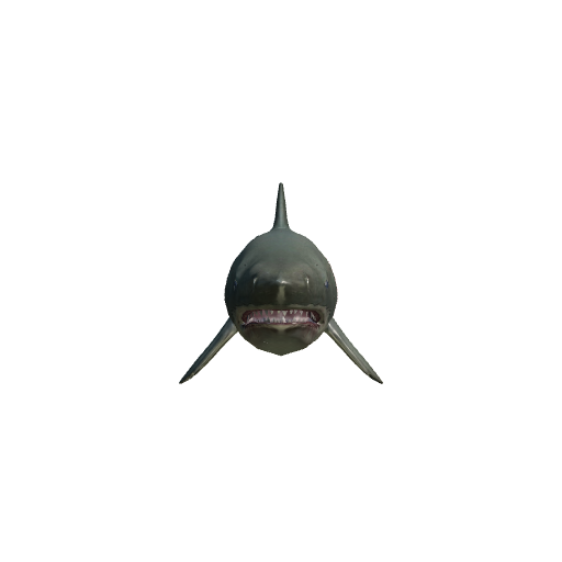 Poseidon - Dreadbeard Shark